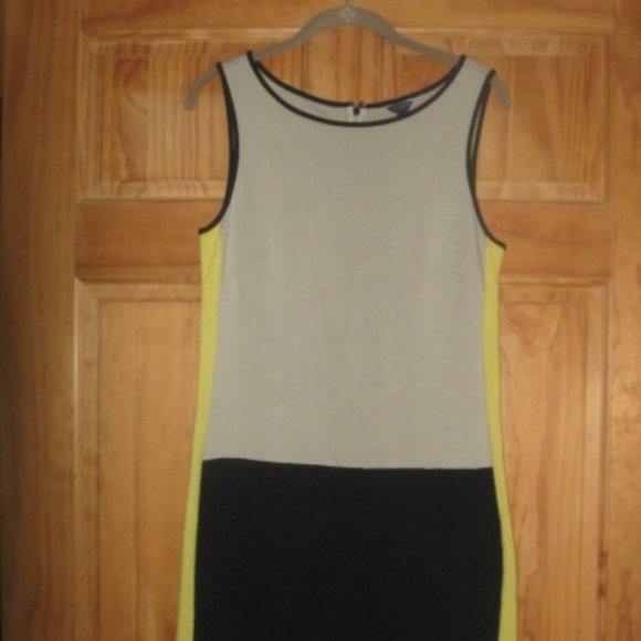 Ann Taylor Sleeveless Dress with Back Zipper - Picture 1 of 4